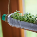 Upcycling and Repurposing Items: Reducing Household Waste and Creating Eco-Friendly Homes