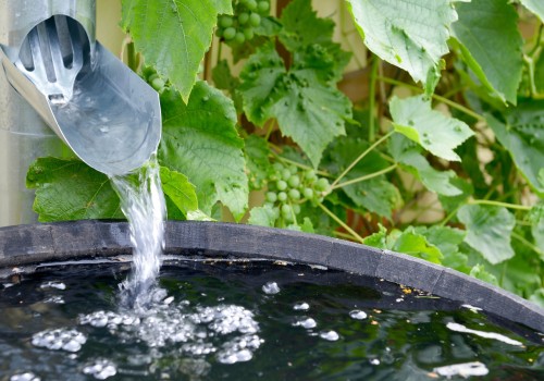 Eco-Friendly Water-Saving Strategies for the Home